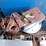 #10391-•-(2)-wagner-garage-door-openers-image-4