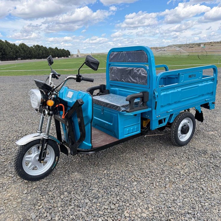 2025 IR IRET13 Electric Tricycle