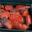 #127-•-ratchet-tie-downs-in-flat-pack-tool-box-image-1