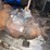 #10402-•-10-speed-truck-transmission-image-3