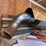 #10416-•-pair-of-mufflers-with-stainless-steel-guards-image-3