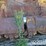 1982-caterpillar-d10-image-7