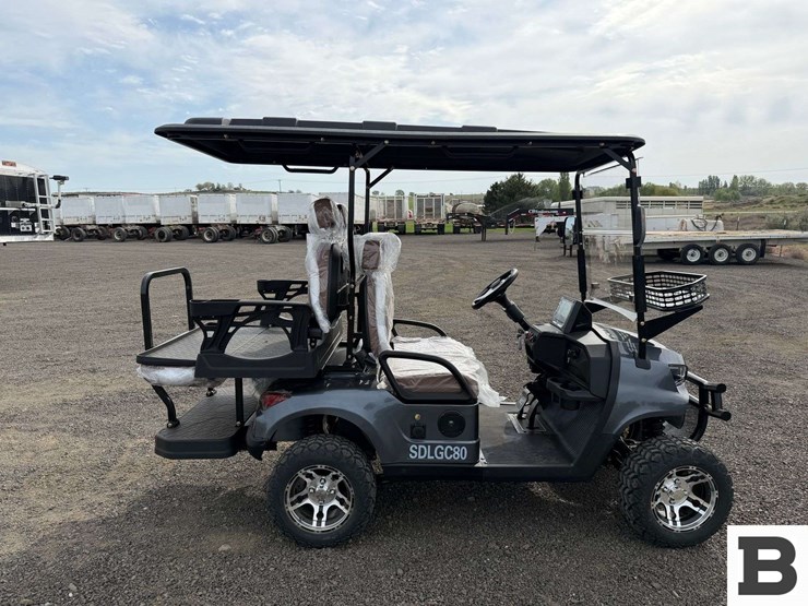 2025-sdlanch-sdlgc80-golf-cart-image-5