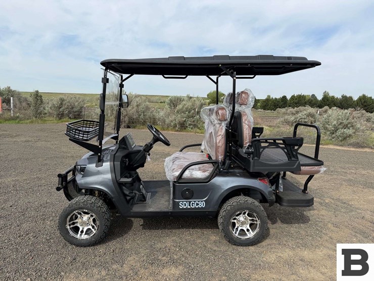 2025-sdlanch-sdlgc80-golf-cart-image-2