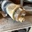 #10435-•-heavy-duty-truck-fuel-water-separator-with-heating-element-image-5