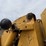 caterpillar-920-image-20