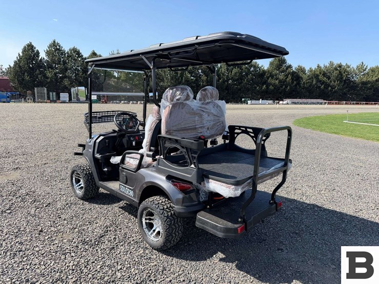 2025-sdlanch-sdlgc80-golf-cart-image-4