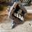 #10434-•-chelsea-small-pto-for-small-transmission-shaft-drive-image-4