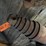 #10399-•-dump-truck-hydraulic-cylinder-image-6