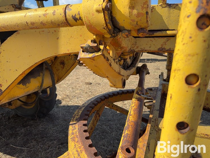 caterpillar-12-image-20