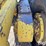 caterpillar-12-image-9