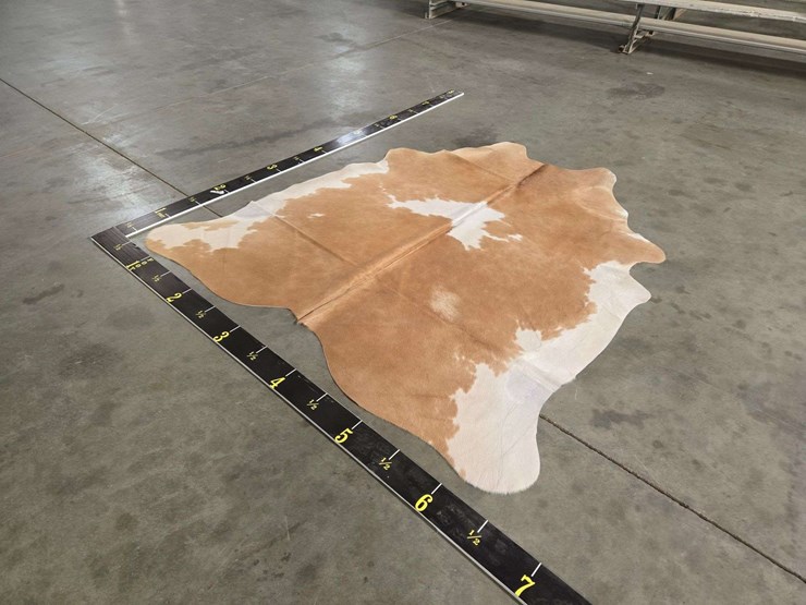 beige-and-white-hide-image-1