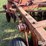 massey-ferguson-820-image-14