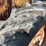 fordson-major-image-81