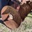 case-ih-490-image-15