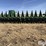 2008-john-deere-612c-stalkmaster-image-10