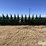 2008-john-deere-612c-image-14