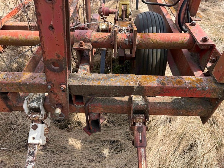 international-45-image-5