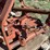 international-1300-image-12