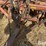 krause-903-image-13