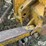 caterpillar-d7-image-10