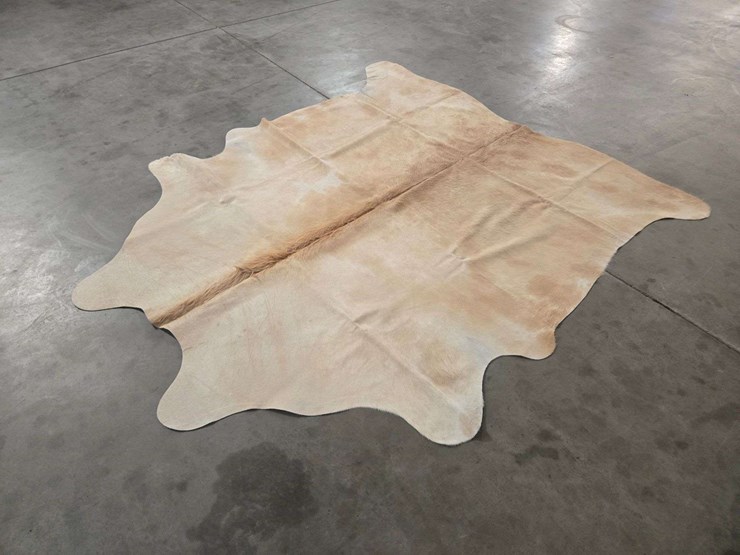 beige-hide-image-5