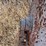 masonary-site-mixer-image-14