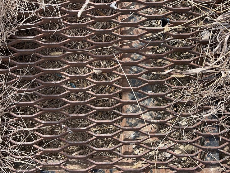 manbasket-image-10