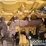 2021-caterpillar-336-image-97