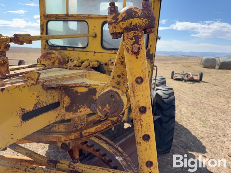 caterpillar-12-image-19