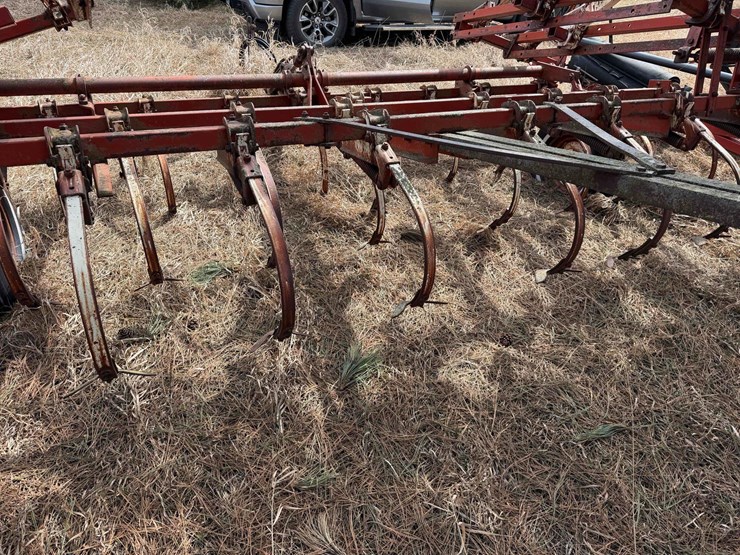 international-45-image-4