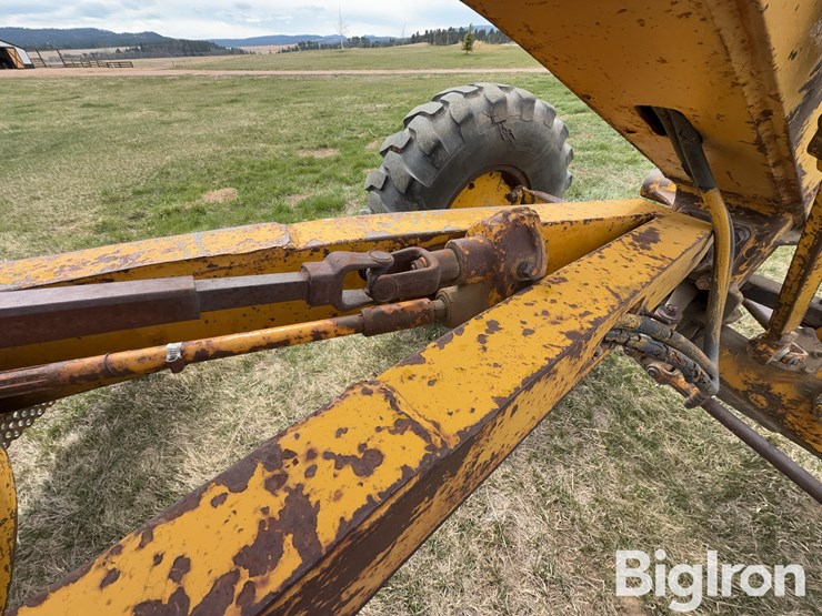 caterpillar-12-image-20