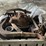 ford-model-a-image-6