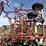 krause-4330-image-12