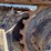 sany-sy135c-image-14