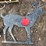 #1638-•-deer-shape-shooting-target-image-1