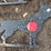 #1639-•-dog-shape-shooting-target-image-1
