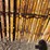 scaffolding-on-carring-cage.-image-6