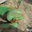 john-deere-7000-image-14