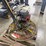 #2033-•-wacker-walk-behind-power-trowel-image-5