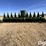 2008-john-deere-612c-image-10