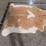 beige-and-white-hide-image-8