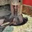 2006-case-ih-wdx2302-image-12