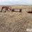 farmhand-f25-image-1