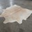 palomino-hide-image-4