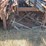 scaffolding-on-carring-cage.-image-7