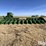 2008-john-deere-612c-stalkmaster-image-2