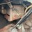 ford-f5-image-78