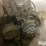 caterpillar-3406b-image-4