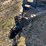 2018-lone-wolf-22'-t/a-utility-trailer-image-7